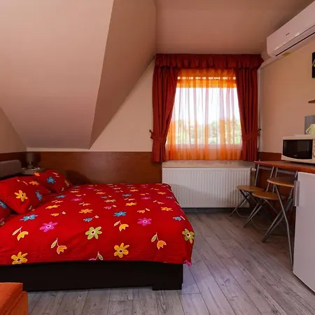 Гостьовий будинок Erika Vendeghaz 3*