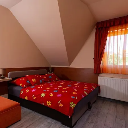 Гостьовий будинок Erika Vendeghaz