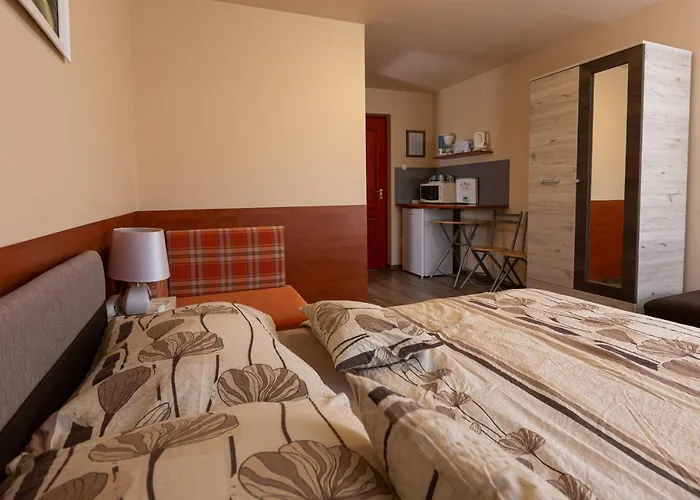 Erika Vendeghaz Penzion 3*