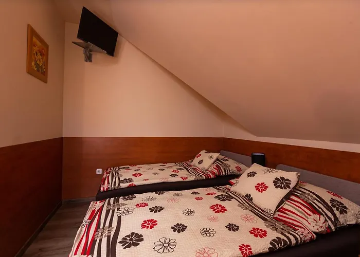 Penzion Erika Vendeghaz