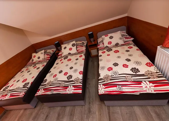 Gasthuis Erika Vendeghaz