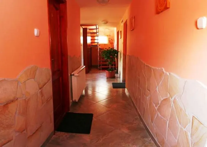 Erika Vendeghaz Gasthuis